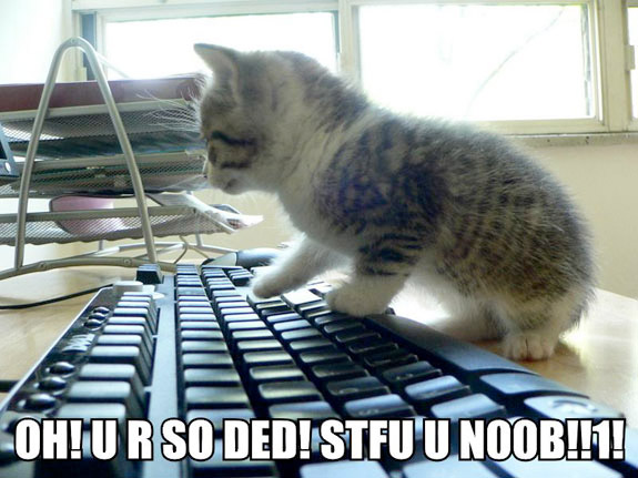 Noob kittehs!