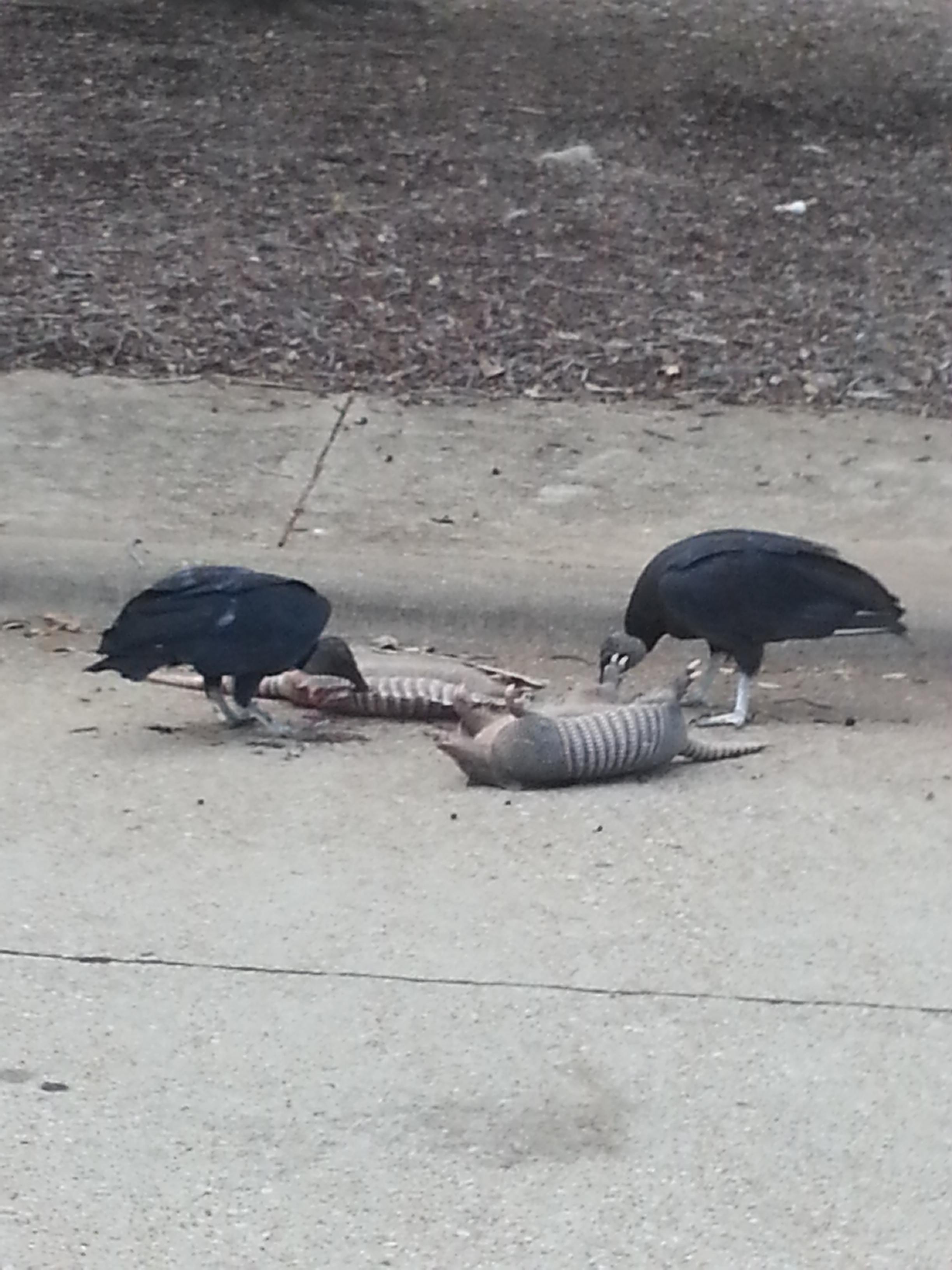 NoobFeed Review - Harvest Fishing (DS) aka River King: Mystic Valley