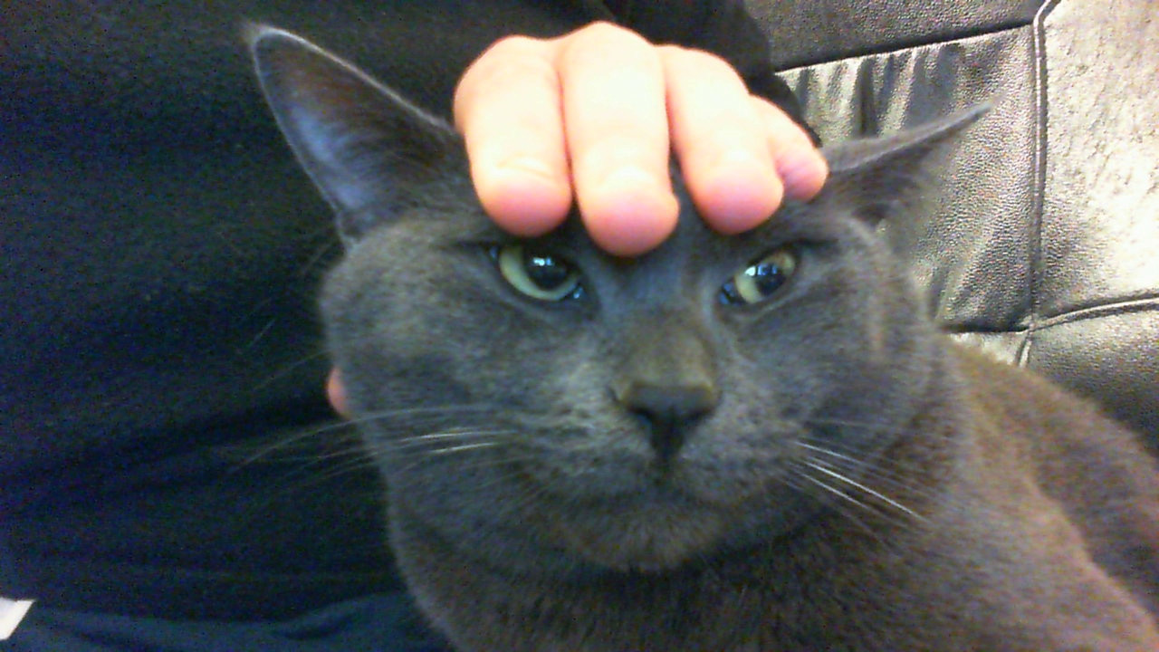 Jordan dunks on Divac