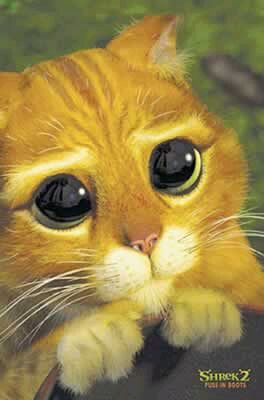 Okay, huge-kitty-eyes work too.